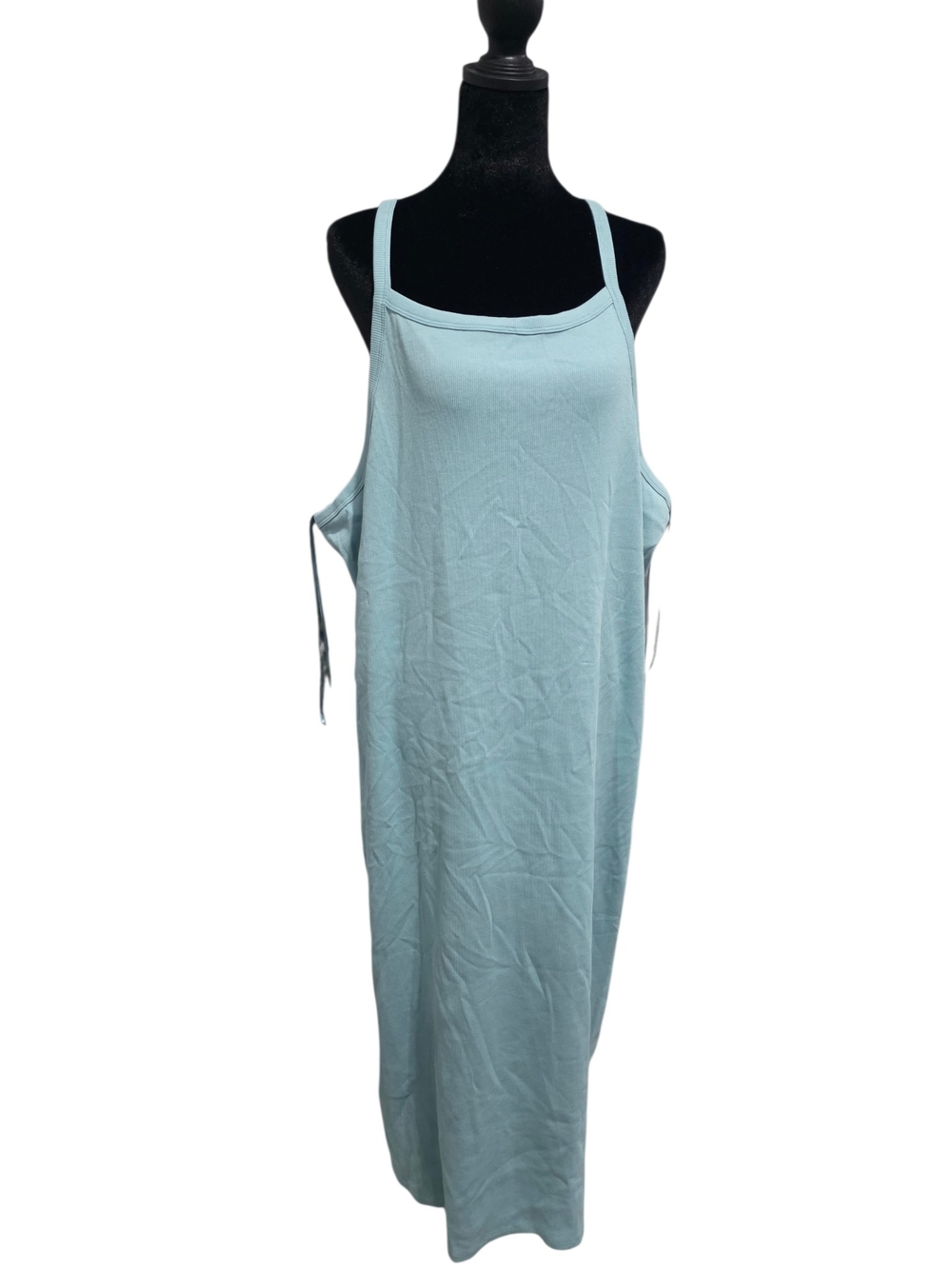 Light Blue Sleeveless Maxi Dress 4X